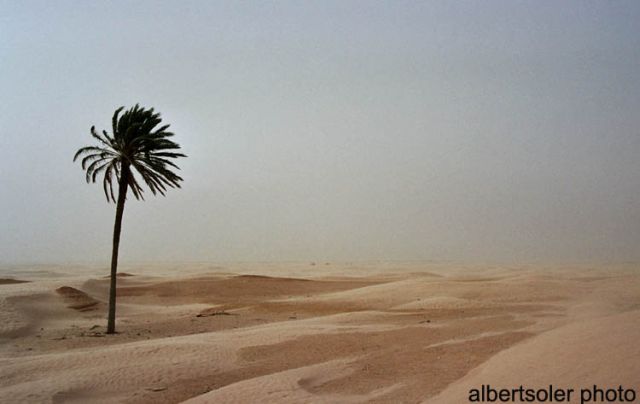 Foto de Douz, Túnez