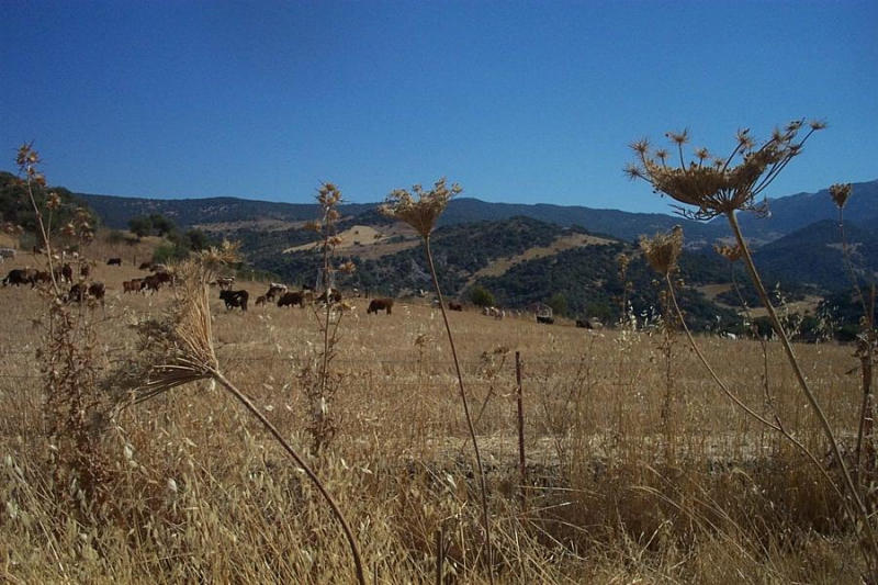 Foto de Grazalema (Cádiz), España