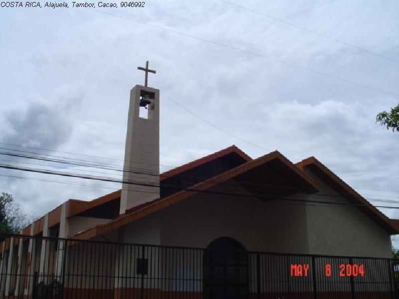 Foto de Cacao de Tambor, Costa Rica