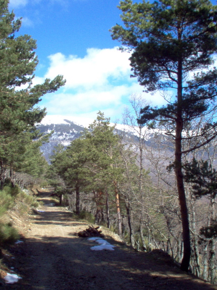 Foto de Miraflores de la Sierra (Madrid), España