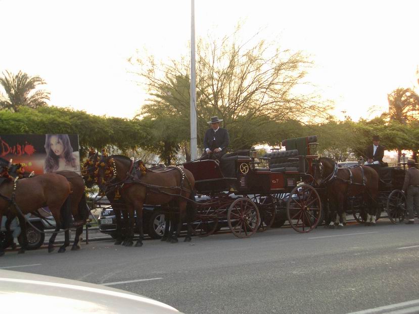 Foto de Sevilla (Andalucía), España