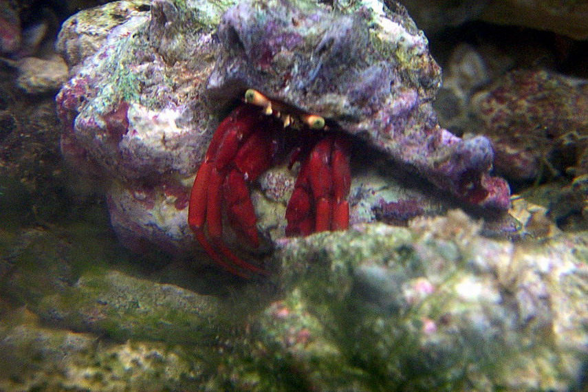 Foto de Mijas (Málaga), España