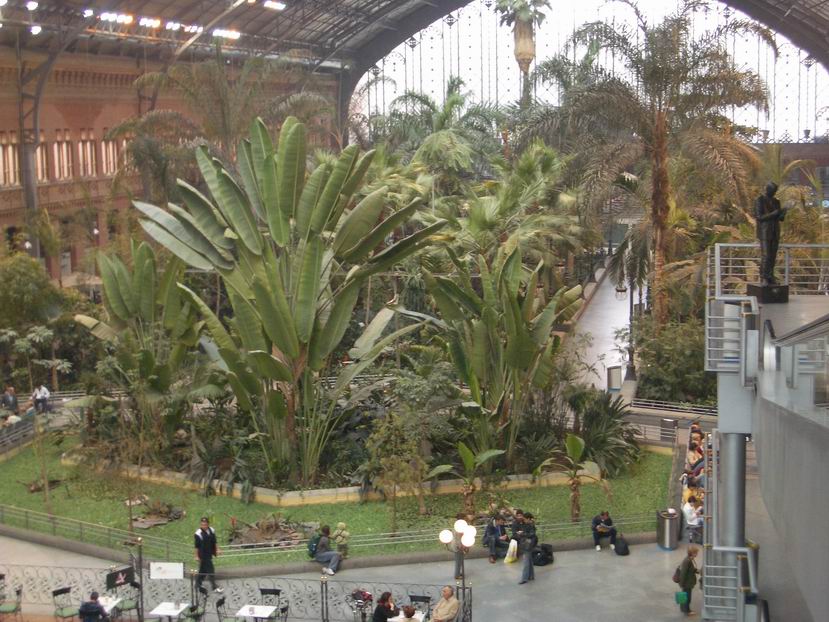 Foto de Madrid (Comunidad de Madrid), España