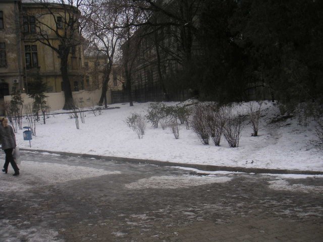 Foto de Bucarest, Rumania