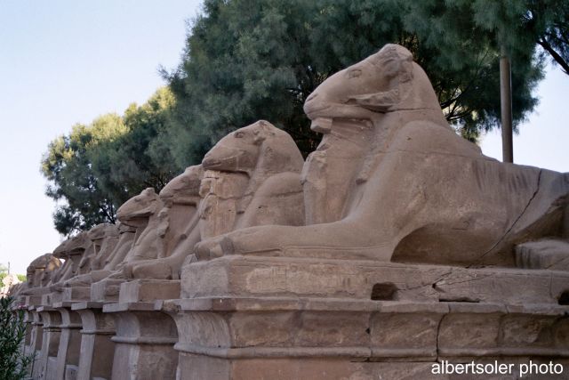 Foto de Luxor, Egipto