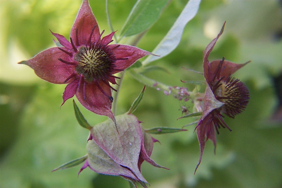 Foto de De Pinte, Bélgica