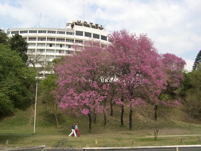 Foto de PARANA, Argentina