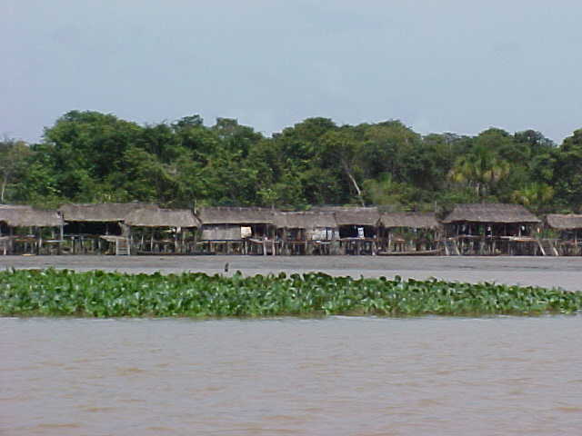 Foto de Delta Amacuro, Venezuela