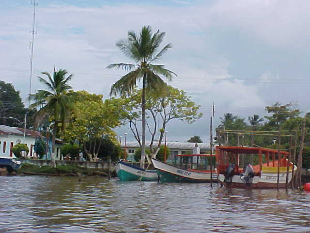 Foto de Delta Amacuro, Venezuela