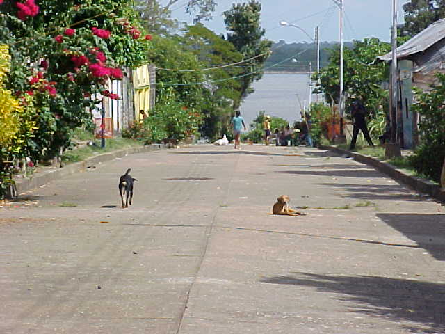 Foto de Delta Amacuro, Venezuela