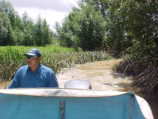 Foto de Delta Amacuro, Venezuela