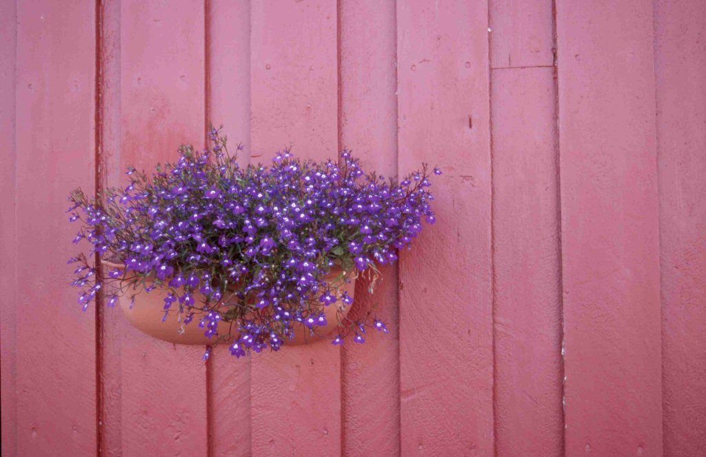 Foto de Islas Lofoten, Noruega