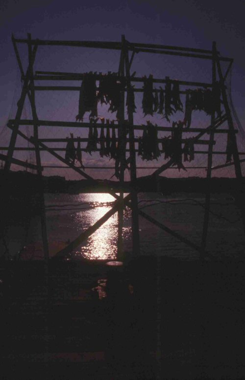 Foto de Islas Lofoten, Noruega