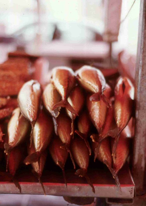 Foto de Bergen, Noruega