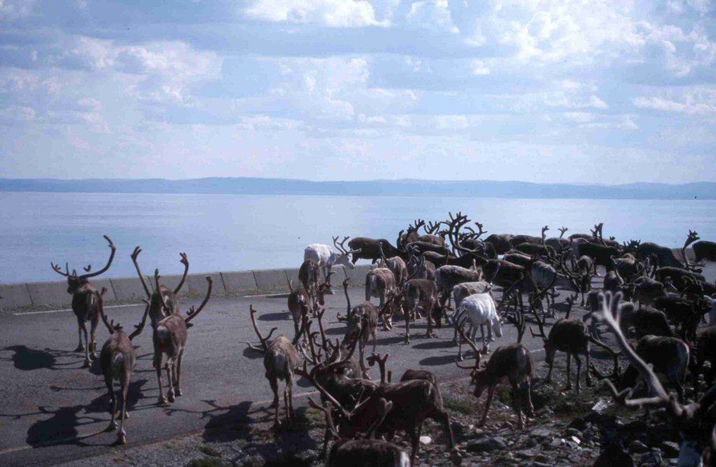 Foto de Cabo Norte, Noruega