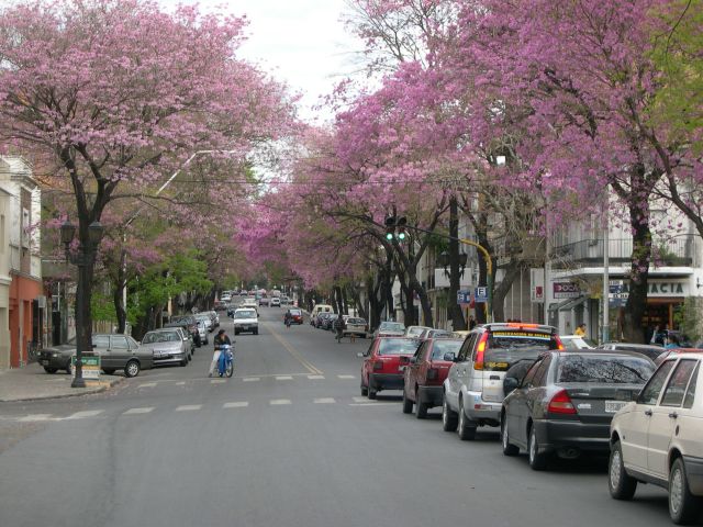 Foto de PARANA, Argentina