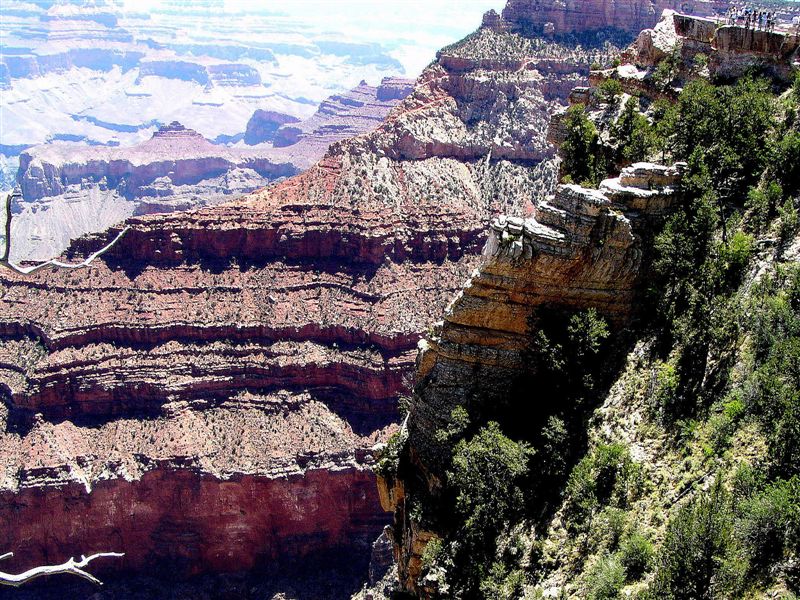 Foto de Grand Canyon (Arizona), Estados Unidos