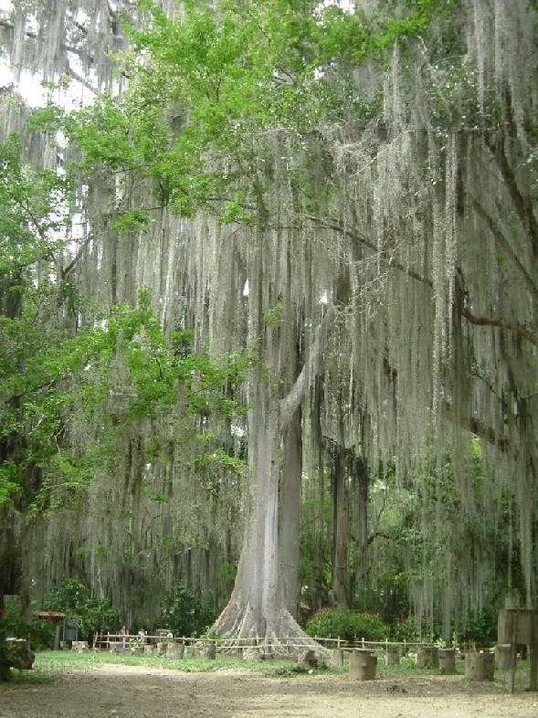 Foto de San Gil (Santander), Colombia