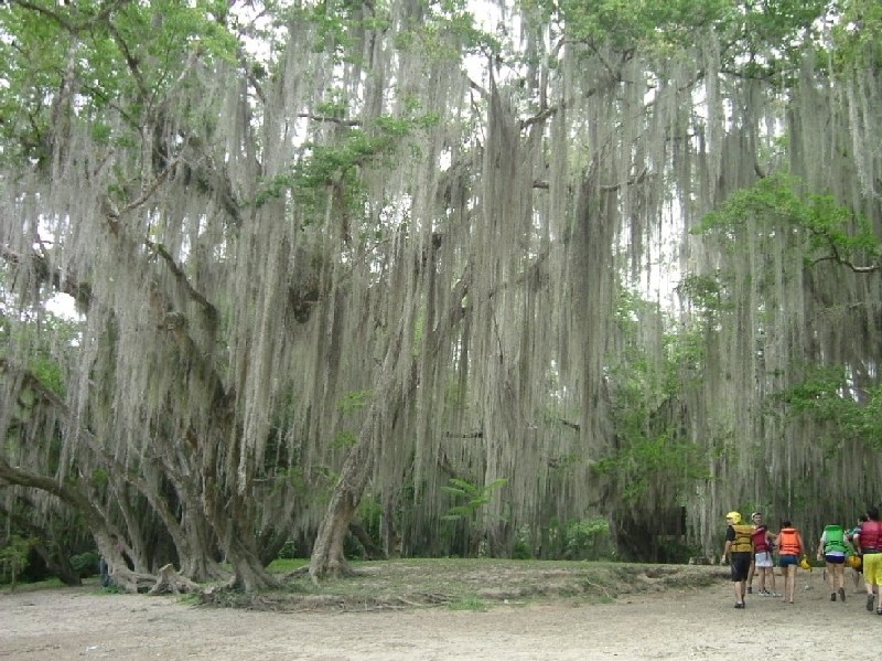 Foto de San Gil, Colombia