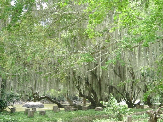 Foto de Río Fonce (San Gil), Colombia
