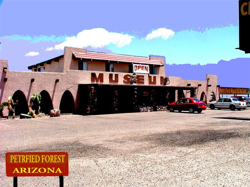Foto de Petrified Forest (Arizona), Estados Unidos