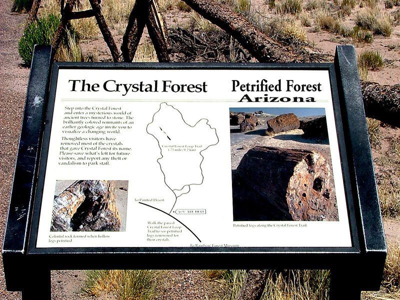 Foto de Petrified Forest (Arizona), Estados Unidos