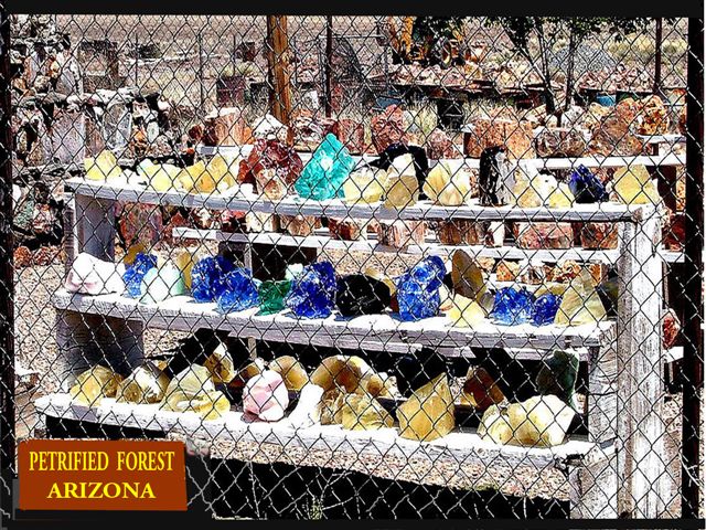 Foto de Petrified Forest Arizona (Arizona), Estados Unidos