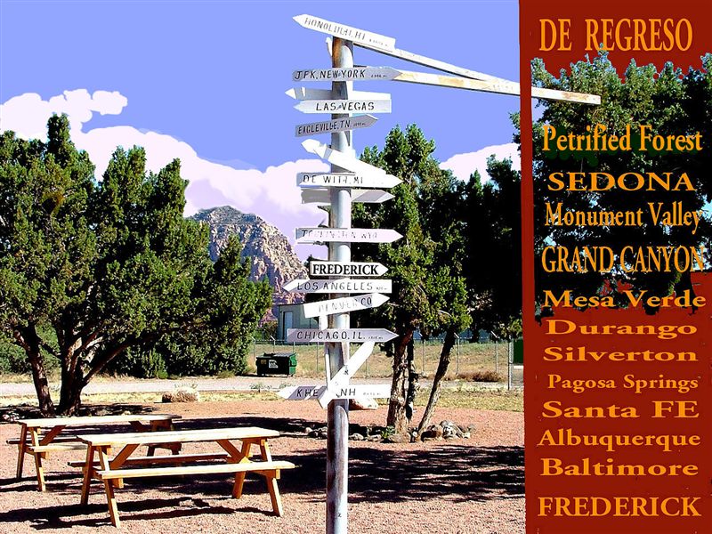 Foto de Petrified Forest Arizona (Arizona), Estados Unidos