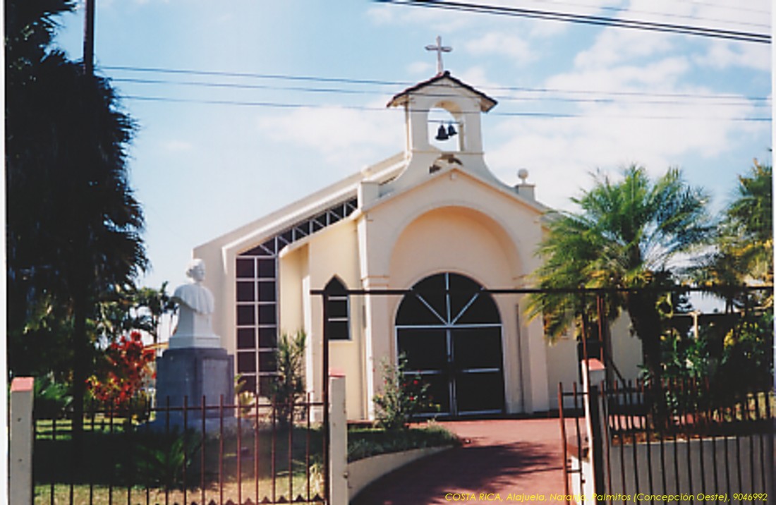 Foto de Palmitos (Concepción Oeste) de Naranjo, Costa Rica