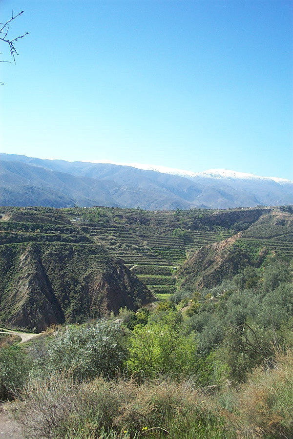Foto de Sierra de Gador (Almería), España