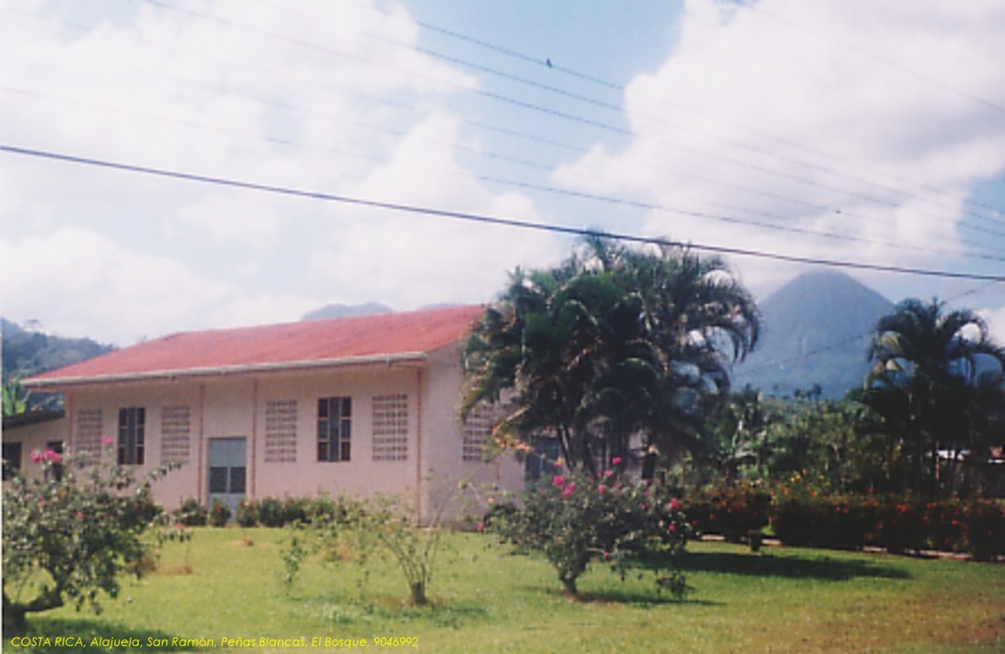 Foto de El Bosque de Peñas Blancas, Costa Rica