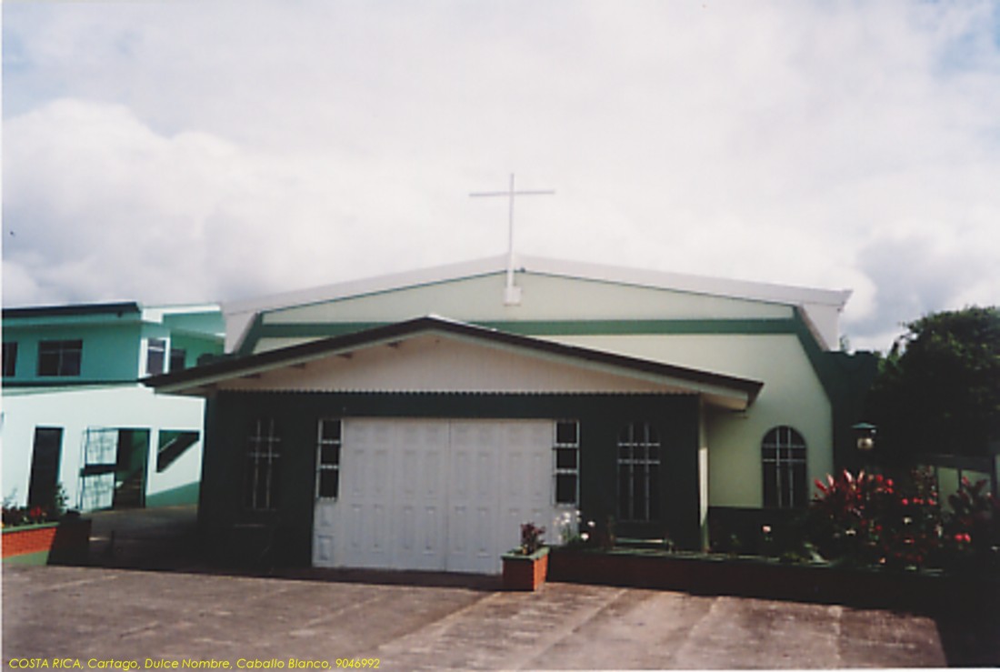 Foto de Caballo Blanco de Dulce Nombre, Costa Rica