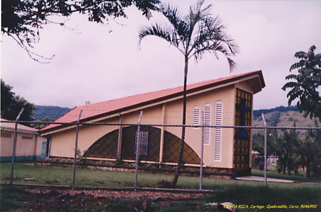 Foto de Coris de Quebradilla, Costa Rica