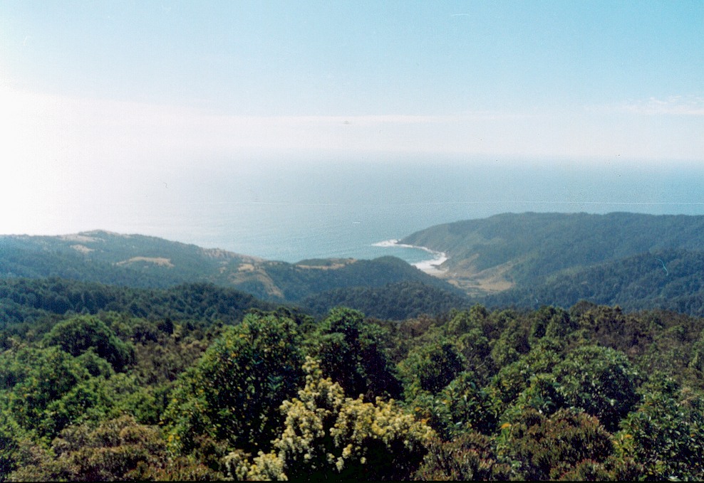 Foto de Valdivia, Chile