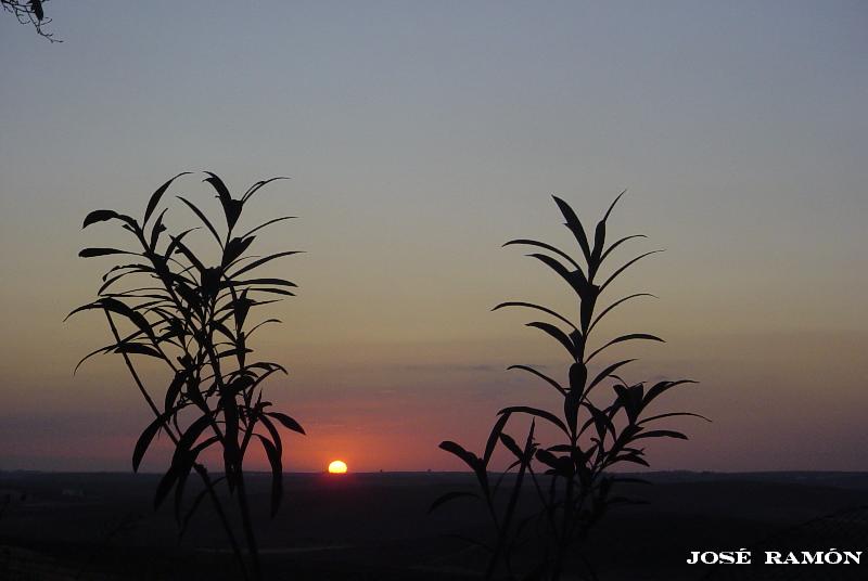 Foto de Jerez de la Frontera (Cádiz), España