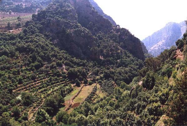 Foto de Qadisha valley, Líbano