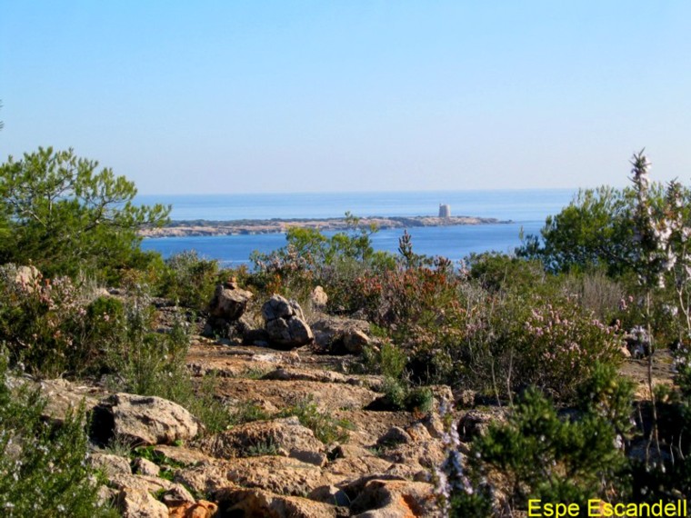 Foto de Ibiza (Illes Balears), España