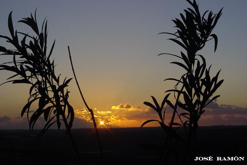 Foto de Jerez de la Frontera (Cádiz), España
