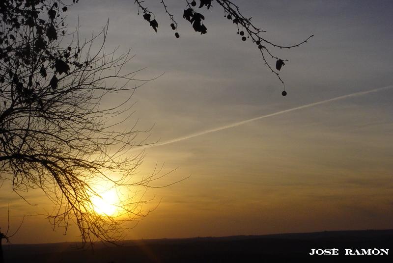 Foto de Jerez de la Frontera (Cádiz), España