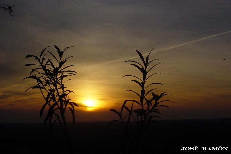 Foto de Jerez de la Frontera (Cádiz), España