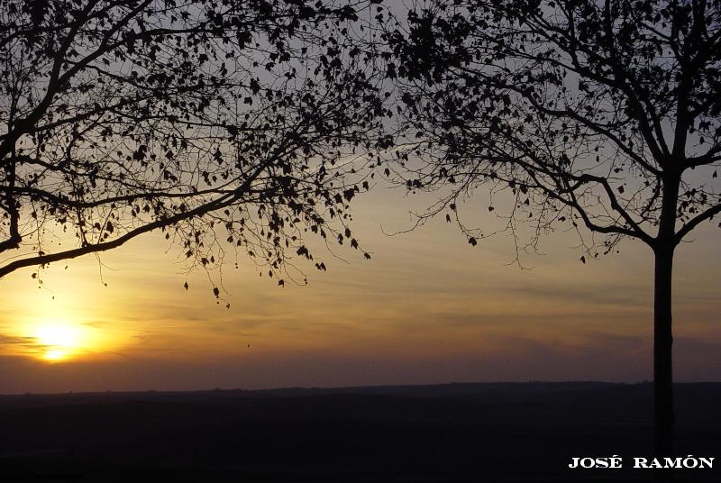 Foto de Jerez de la Frontera (Cádiz), España