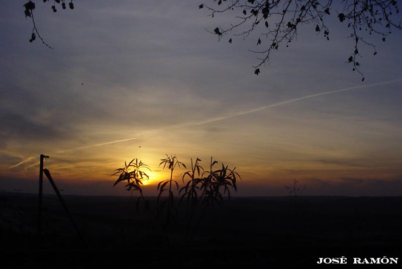 Foto de Jerez de la Frontera (Cádiz), España