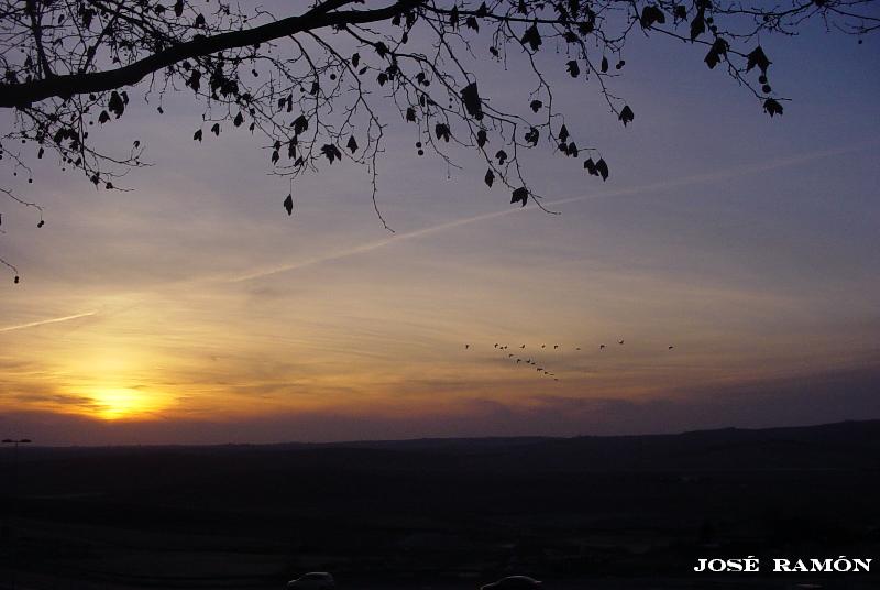 Foto de Jerez de la Frontera (Cádiz), España