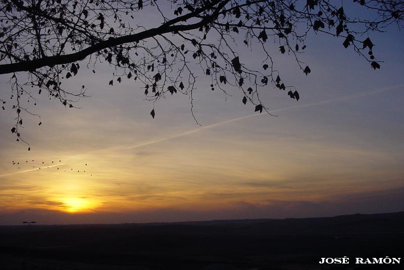 Foto de Jerez de la Frontera (Cádiz), España
