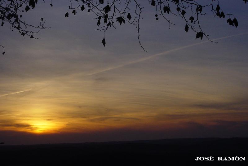 Foto de Jerez de la Frontera (Cádiz), España