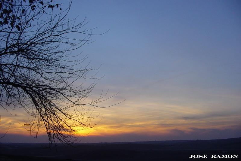 Foto de Jerez de la Frontera (Cádiz), España
