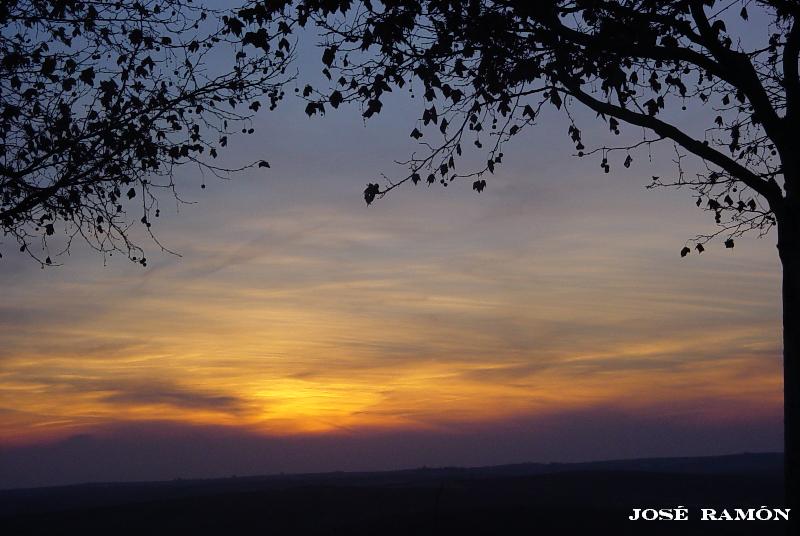 Foto de Jerez de la Frontera (Cádiz), España