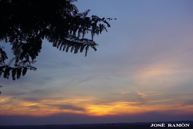 Foto de Jerez de la Frontera (Cádiz), España