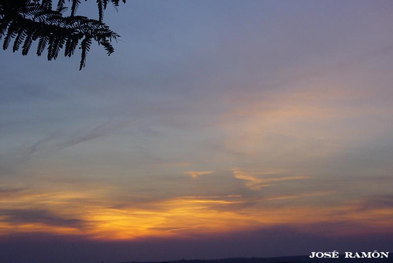 Foto de Jerez de la Frontera (Cádiz), España