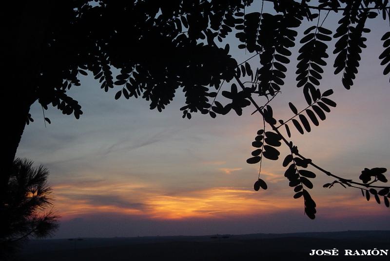 Foto de Jerez de la Frontera (Cádiz), España